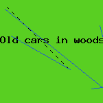 rental car sales
