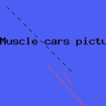 car and driver online
