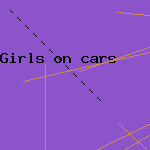 unique car seat covers
