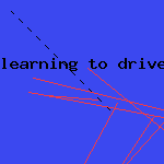 learning to drive a car