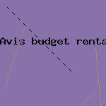 avis budget rental car
